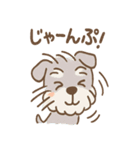 雨の日あまシュナ（個別スタンプ：33）