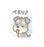 雨の日あまシュナ（個別スタンプ：36）