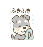 雨の日あまシュナ（個別スタンプ：39）