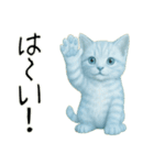 推し猫【青】（個別スタンプ：9）