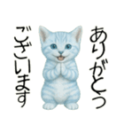 推し猫【青】（個別スタンプ：17）