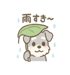 雨の日あまシュナのやさしい日常（個別スタンプ：1）