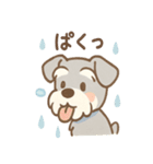 雨の日あまシュナのやさしい日常（個別スタンプ：2）