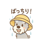 雨の日あまシュナのやさしい日常（個別スタンプ：5）