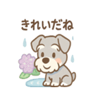 雨の日あまシュナのやさしい日常（個別スタンプ：7）
