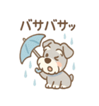 雨の日あまシュナのやさしい日常（個別スタンプ：10）