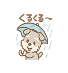 雨の日あまシュナのやさしい日常（個別スタンプ：11）