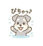 雨の日あまシュナのやさしい日常（個別スタンプ：12）
