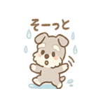 雨の日あまシュナのやさしい日常（個別スタンプ：13）