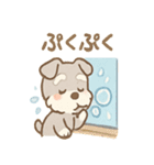 雨の日あまシュナのやさしい日常（個別スタンプ：15）