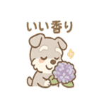 雨の日あまシュナのやさしい日常（個別スタンプ：16）