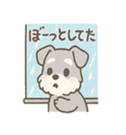 雨の日あまシュナのやさしい日常（個別スタンプ：23）