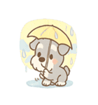 雨の日あまシュナのやさしい日常（個別スタンプ：32）