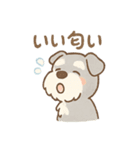 雨の日あまシュナのやさしい日常（個別スタンプ：33）