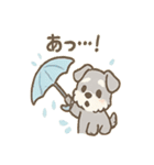 雨の日あまシュナのやさしい日常（個別スタンプ：38）