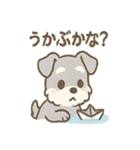 雨の日あまシュナのやさしい日常（個別スタンプ：39）