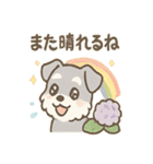 雨の日あまシュナのやさしい日常（個別スタンプ：40）