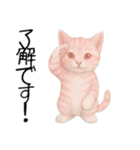 推し猫【桃】（個別スタンプ：10）