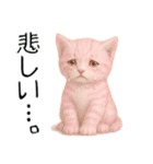 推し猫【桃】（個別スタンプ：32）