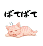 推し猫【桃】（個別スタンプ：37）