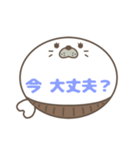腹巻きあざらしくん吹き出し 青字仕事用 01（個別スタンプ：40）