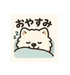 サモエドスタンプ(モフモフバージョン)（個別スタンプ：2）