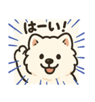 サモエドスタンプ(モフモフバージョン)（個別スタンプ：5）