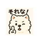 サモエドスタンプ(モフモフバージョン)（個別スタンプ：6）