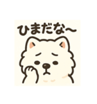 サモエドスタンプ(モフモフバージョン)（個別スタンプ：10）