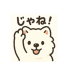 サモエドスタンプ(モフモフバージョン)（個別スタンプ：11）