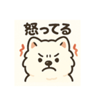 サモエドスタンプ(モフモフバージョン)（個別スタンプ：12）