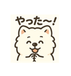 サモエドスタンプ(モフモフバージョン)（個別スタンプ：13）
