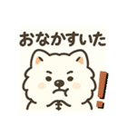 サモエドスタンプ(モフモフバージョン)（個別スタンプ：16）