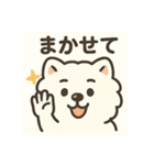 サモエドスタンプ(モフモフバージョン)（個別スタンプ：26）