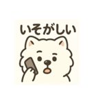 サモエドスタンプ(モフモフバージョン)（個別スタンプ：30）