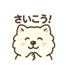 サモエドスタンプ(モフモフバージョン)（個別スタンプ：31）