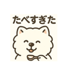 サモエドスタンプ(モフモフバージョン)（個別スタンプ：34）