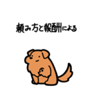 いつでも使えるゴールデンレトリバー（茶）（個別スタンプ：29）