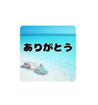 青く澄んだ美しい海.夕暮れ.満月.貝.舟.空（個別スタンプ：4）