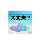 青く澄んだ美しい海.夕暮れ.満月.貝.舟.空（個別スタンプ：13）