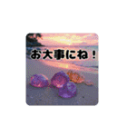 青く澄んだ美しい海.夕暮れ.満月.貝.舟.空（個別スタンプ：23）