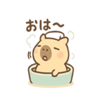 ぬくピバラの温泉まったりスタンプ（個別スタンプ：1）