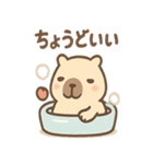 ぬくピバラの温泉まったりスタンプ（個別スタンプ：4）