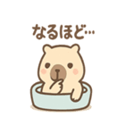 ぬくピバラの温泉まったりスタンプ（個別スタンプ：9）