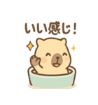 ぬくピバラの温泉まったりスタンプ（個別スタンプ：38）