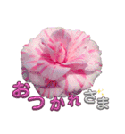 I LOVE♥CAMELLIA（個別スタンプ：2）