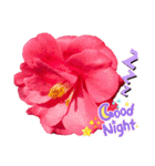 I LOVE♥CAMELLIA（個別スタンプ：4）