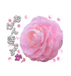 I LOVE♥CAMELLIA（個別スタンプ：7）