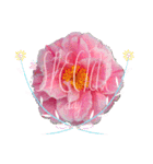 I LOVE♥CAMELLIA（個別スタンプ：8）