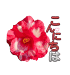 I LOVE♥CAMELLIA（個別スタンプ：9）